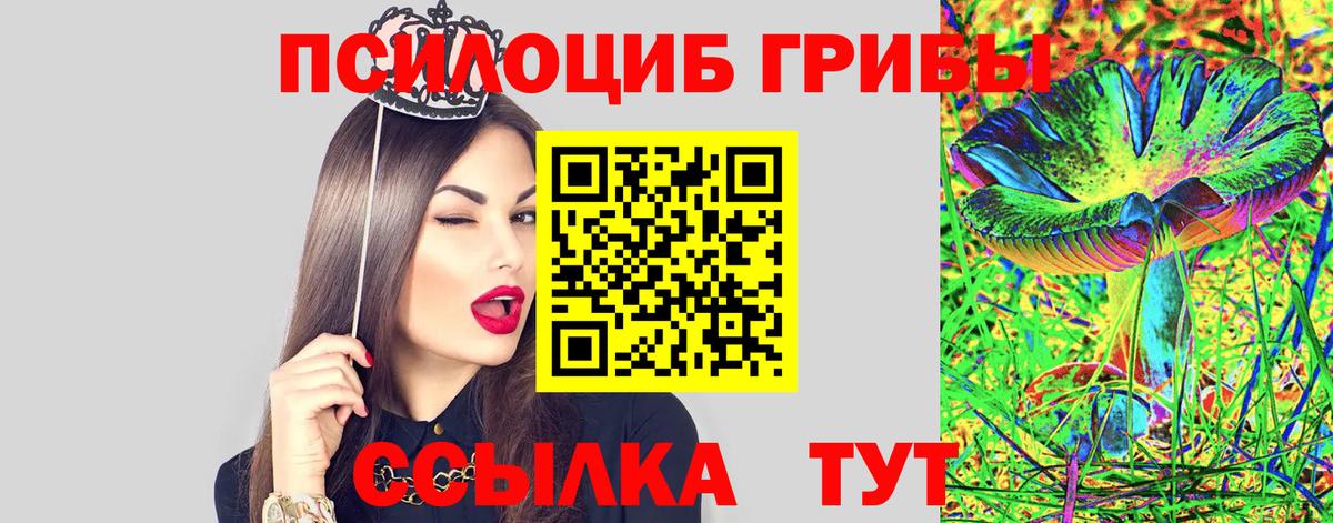 Псилоцибиновые грибы мицелий  Вход с VPN  Галлюциногенные грибы Psilocybe  Альметьевск 